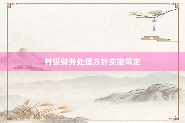 村级财务处理方针实施笃定